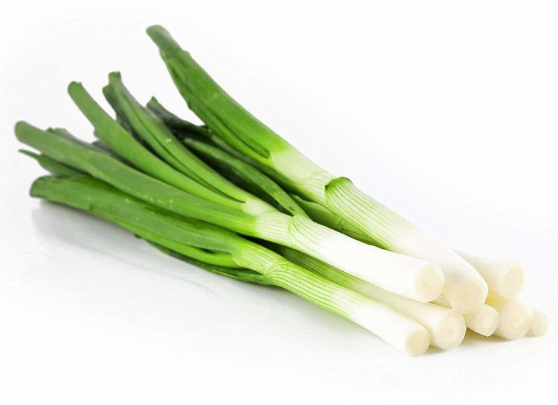 Qualtivate ® Farm Leek/Green Spring Onion Seeds-100 Seed Seed  (100 per packet)