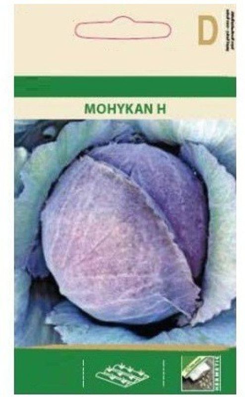 Qualtivate ™ RED Cabbage Ball Hybrid Seeds Seed  (1000 per packet)