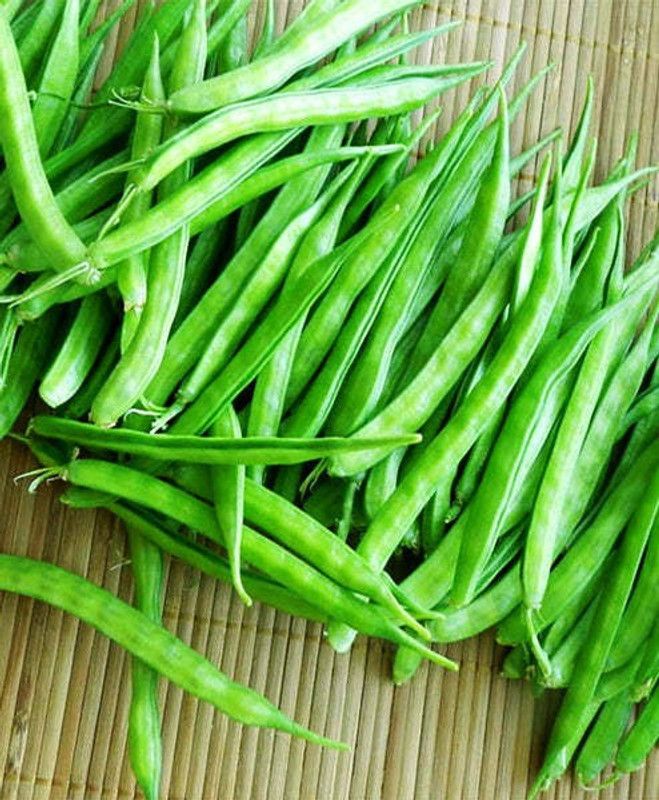 XOLDA Clusterbeans (GUAR) Seed  (40 per packet)