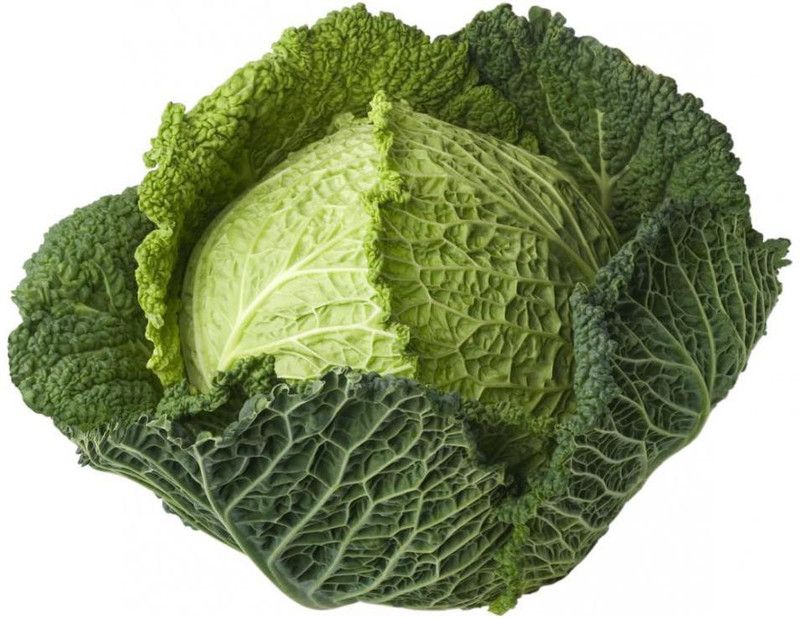 Nodoc Cabbage Seed  (30 per packet)