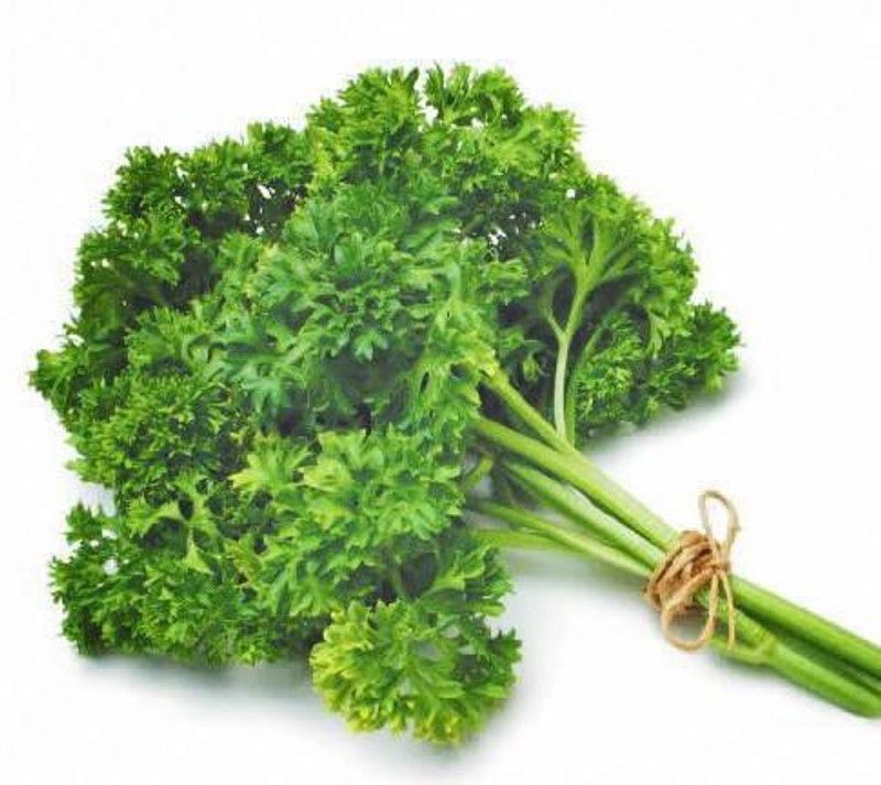 XOLDA Parsley Seed  (100 per packet)