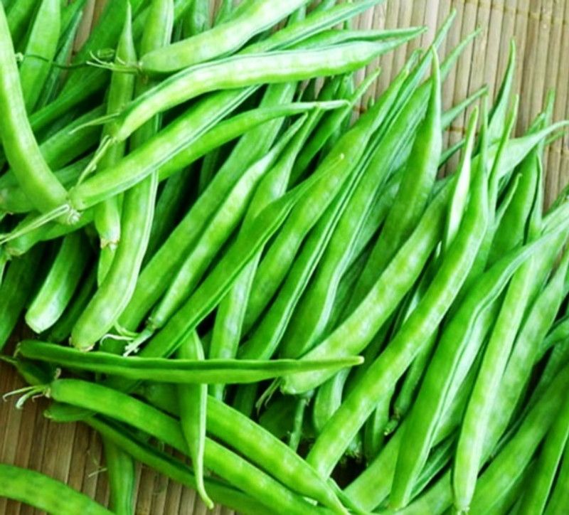 WATIKA Guar (Cluster) Beans Seed  (150 per packet)