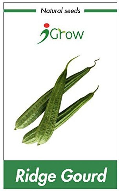 iGrow Ridge Gourd Seeds Seed  (10 per packet)