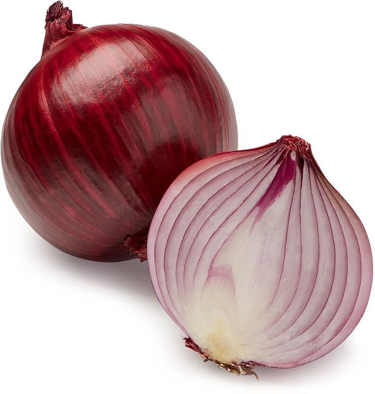 XOLDA Red onion Seed  (22 per packet)