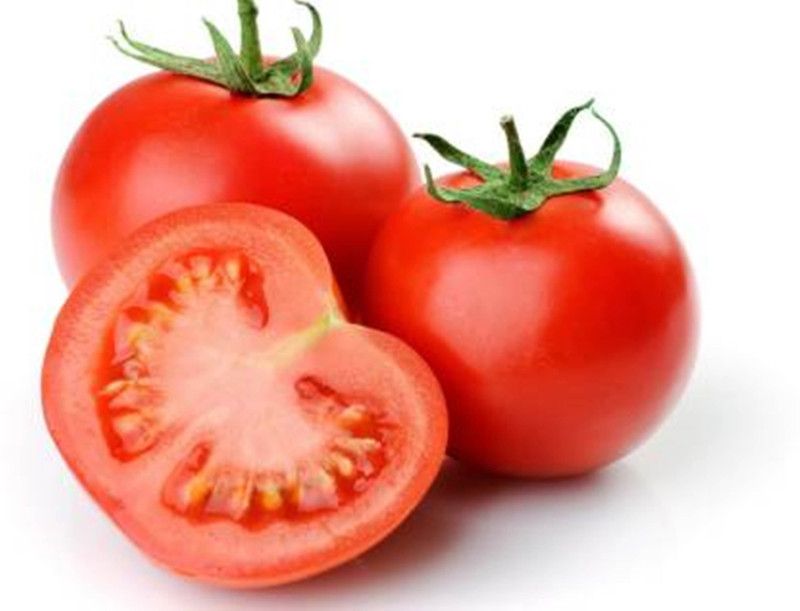PREMIER PLANTS Red Tomato Seeds( 420 Seeds ) Seed  (420 per packet)