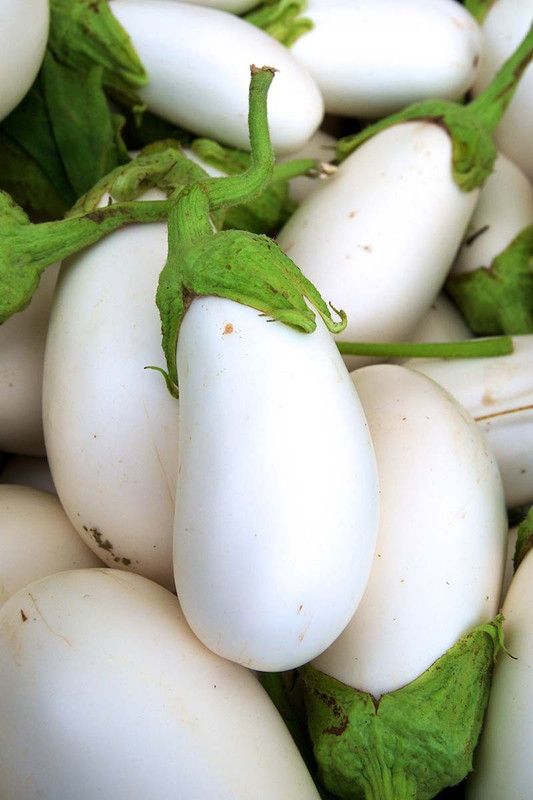 Mozette Organic white brinjal Seed  (37 per packet)
