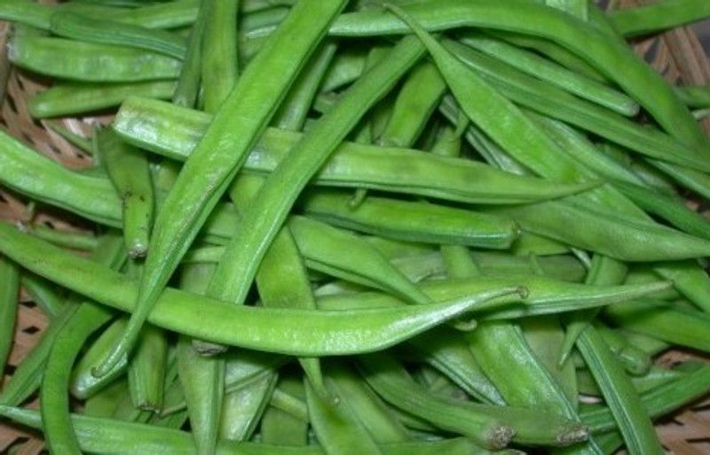 WATIKA Cluster Beans (gawar,guar Phalli,goru chikkudu,kothavara) Seed  (500 per packet)