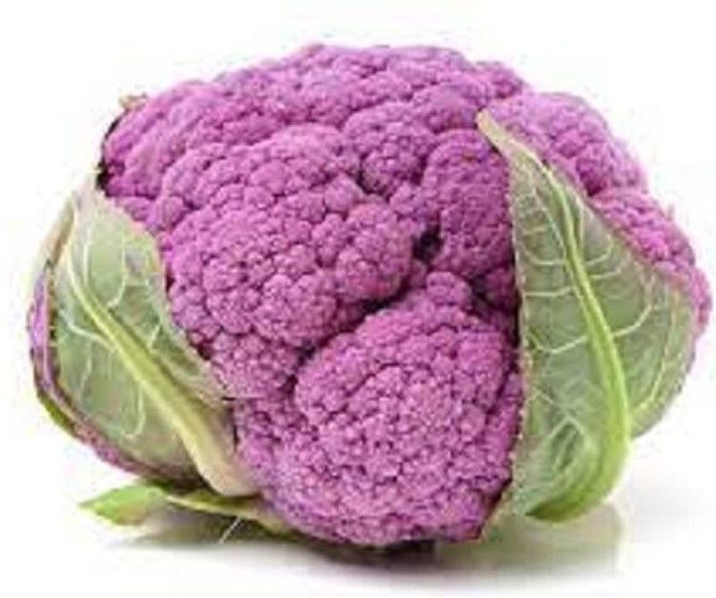 LYRS Cauliflower Seed  (120 per packet)