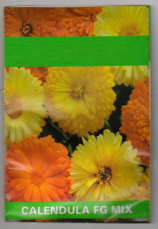 VibeX Seeds |Calendula Mixed Colour | F1 Hybrid Flower Seed  (10 per packet)