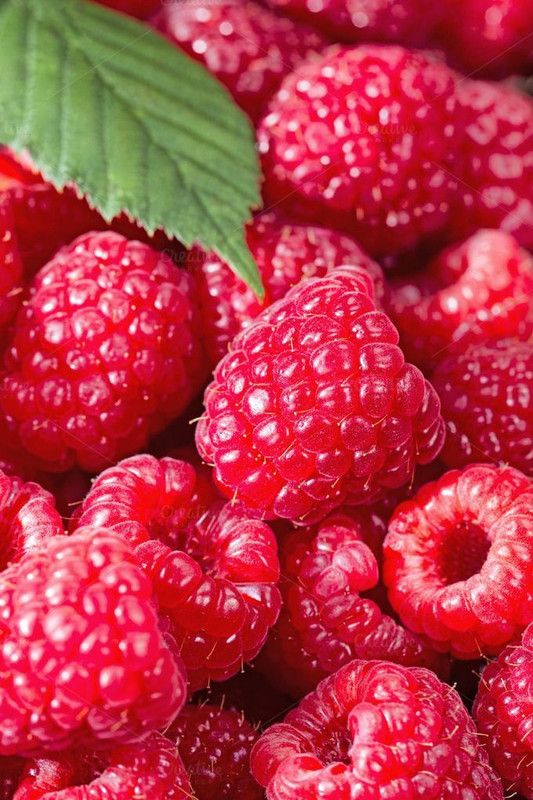 PLANTZON Raspberry fruit Seed  (60 per packet)