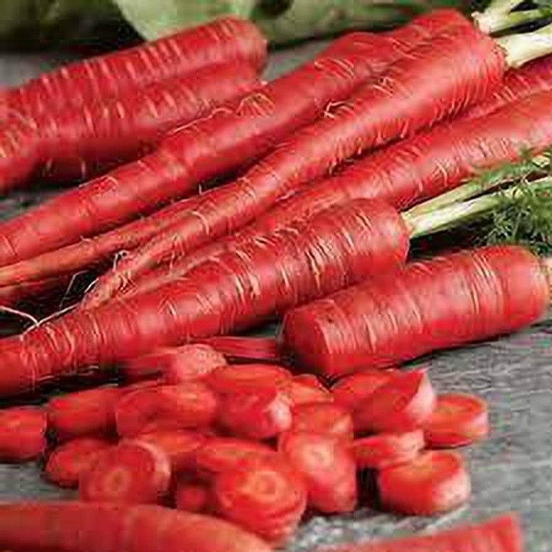 FERNSFLY® Red Carrot Vegetables Seeds for Home and Garden seeds Pack for Gardening. Seed  (50 per packet)