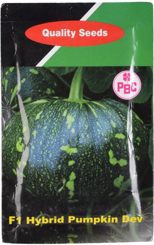 DROXTY ® Pumpkin F1 Hybrid Vegetable Seeds Seed  (25 per packet)