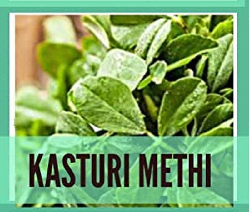 Qualtivate Kasuri Methi Seed  (200 per packet)