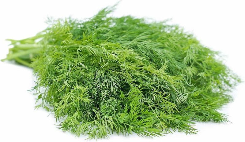 XOLDA Soya dill Seed  (85 per packet)