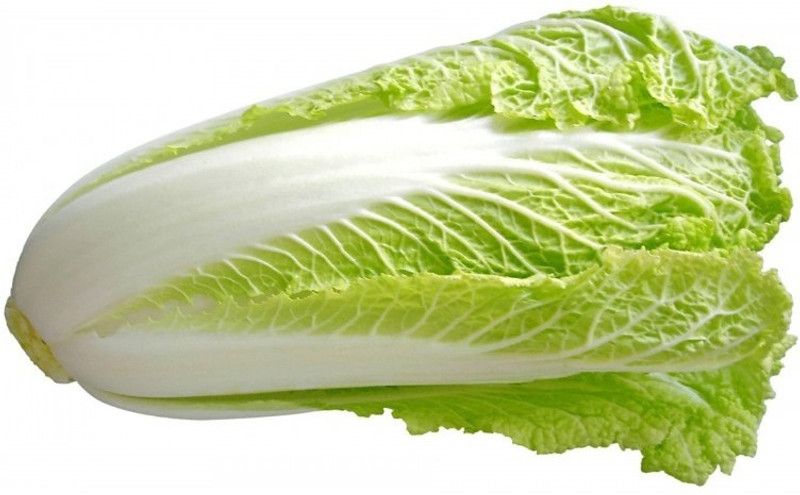 Mozette Chinese cabbage Seed  (91 per packet)