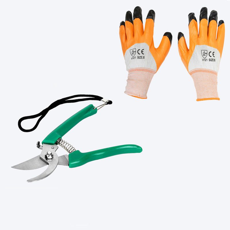 Walkers WKCB180M1 Garden Gardening Pruning Hedge Shears/Plant Pruner with Hand Gloves WKCB180M1 Garden Gardening Pruning Hedge Shears/Plant Pruner with Hand Gloves Bypass Pruner  (Manual)