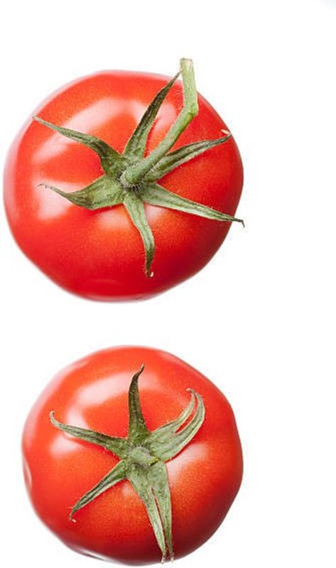Splorias Tomato vegetable hybrid fress Seed  (20 per packet)