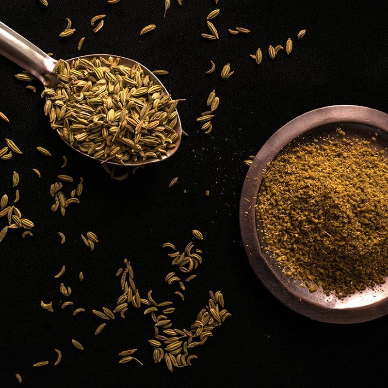 WILLVINE TLX-11 Organic Florence Fennel Seed  (1000 per packet)