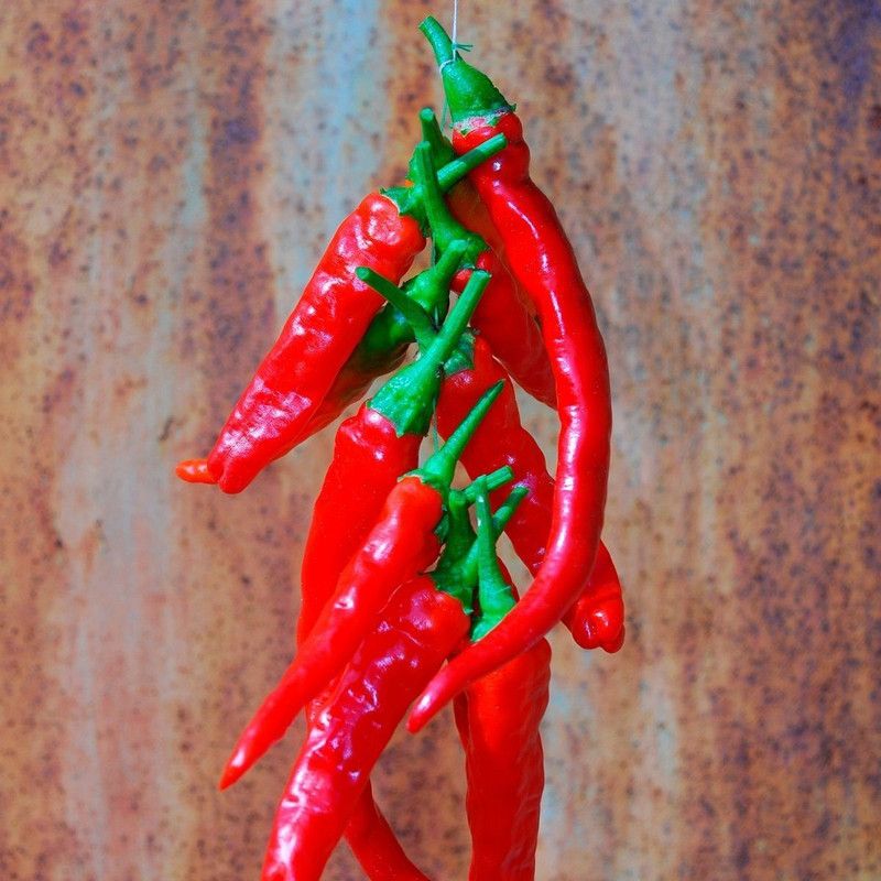 granthi Red Long Chili लाल मिर्च Seed  (300 per packet)