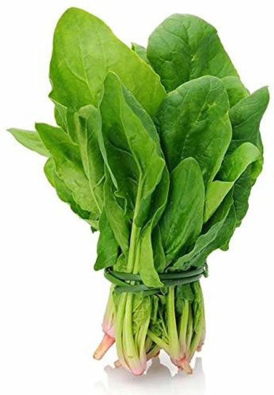 Nodoc Palak Seed  (98 per packet)