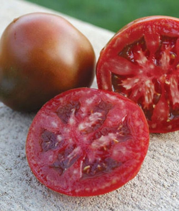 VibeX Organic Tomato, Brandywine Pink Organic Seed  (120 per packet)