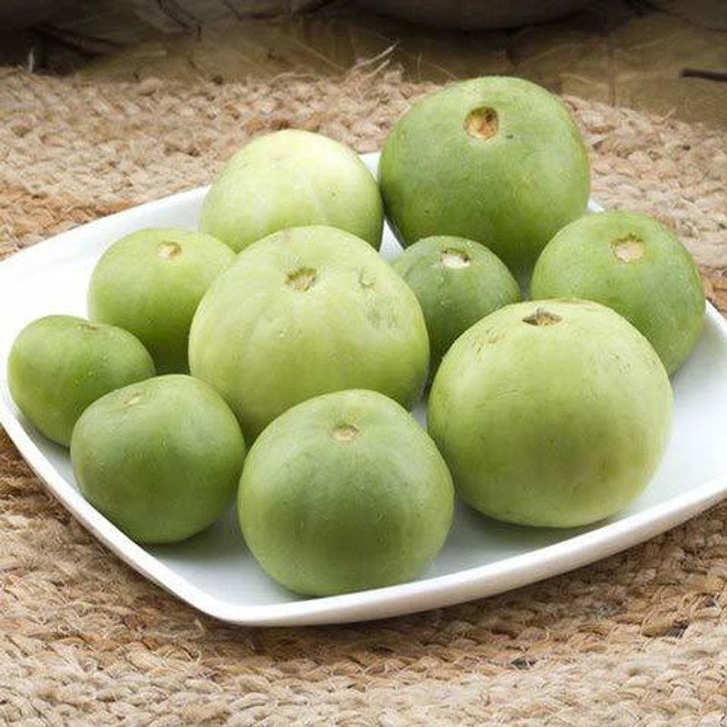 MKR Enterprises Round Gourd Seed  (180 per packet)
