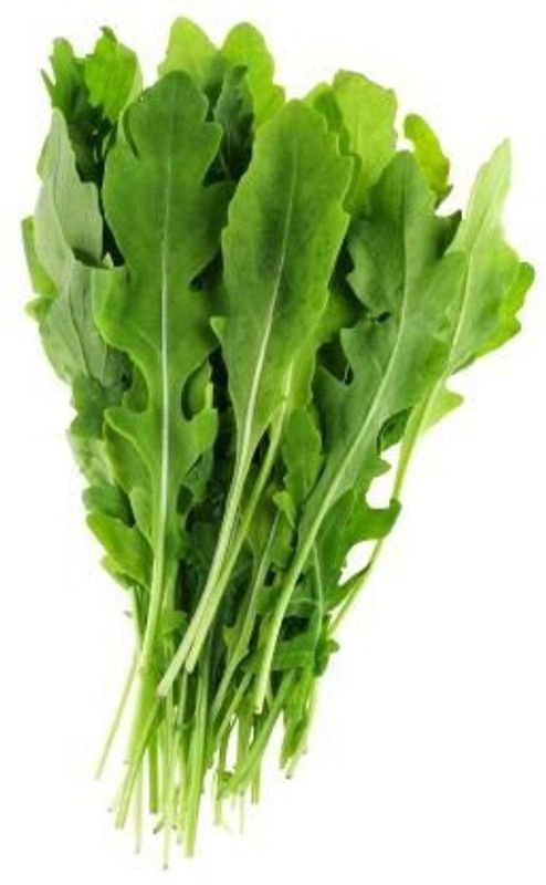 Nodoc Rocketleaf herbs Seed  (50 per packet)