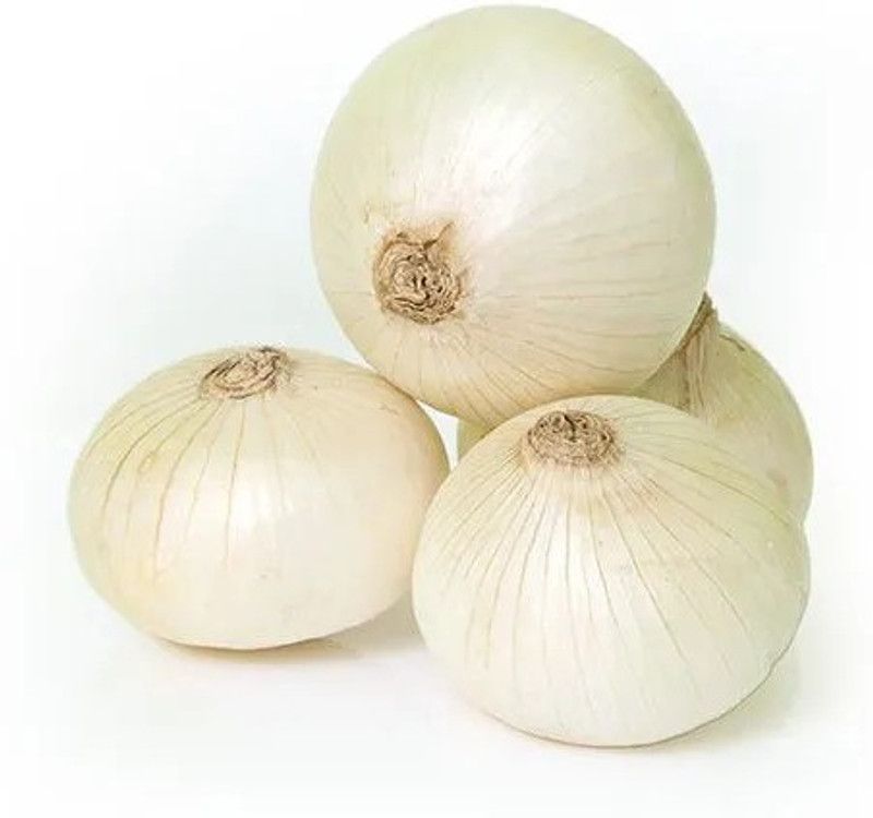 XOLDA Onion White plant Seed  (12 per packet)