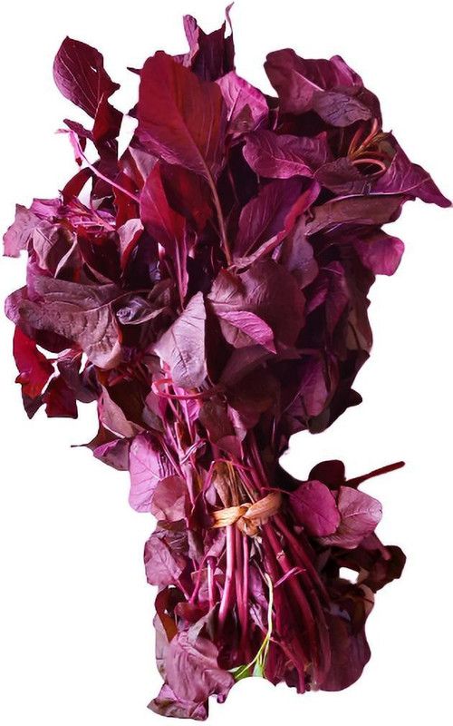 CooPany Red Cheera seeds / Red Spinach Amaranthus seeds / Laal saag Seed  (100000 per packet)
