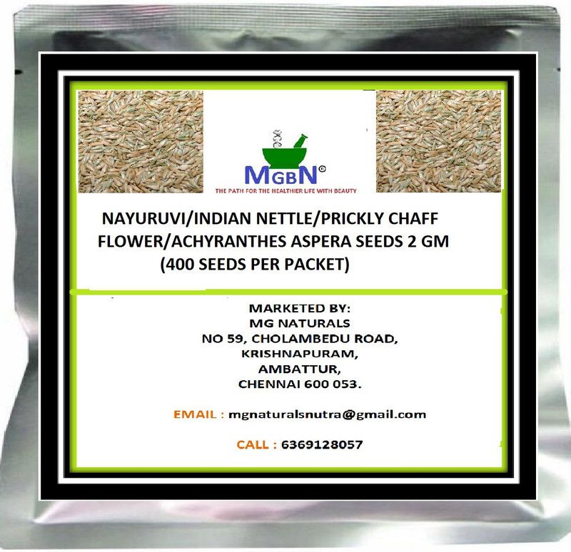MGBN NAYURUVI/INDIAN NETTLE/PRICKLY CHAFF FLOWER/ACHYRANTHES ASPERA SEEDS 2 GM Seed  (400 per packet)