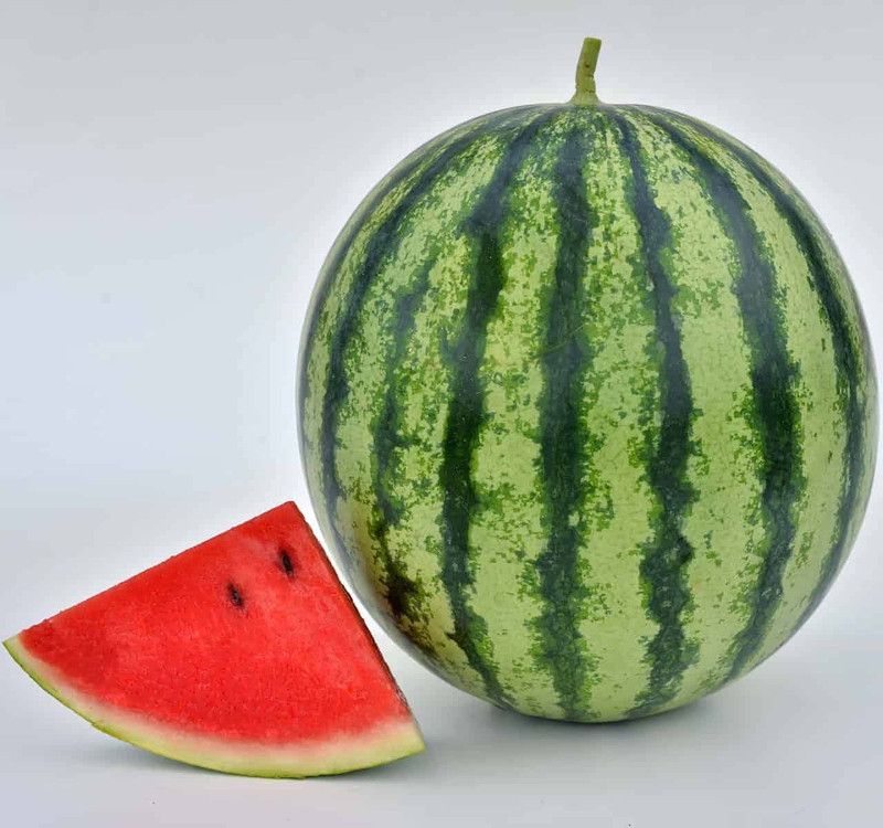 TRICONE Tarbuj Seed  (100 per packet)