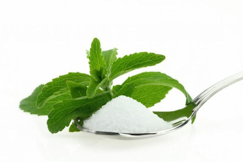 Mozette Stevia herbs Seed  (47 per packet)