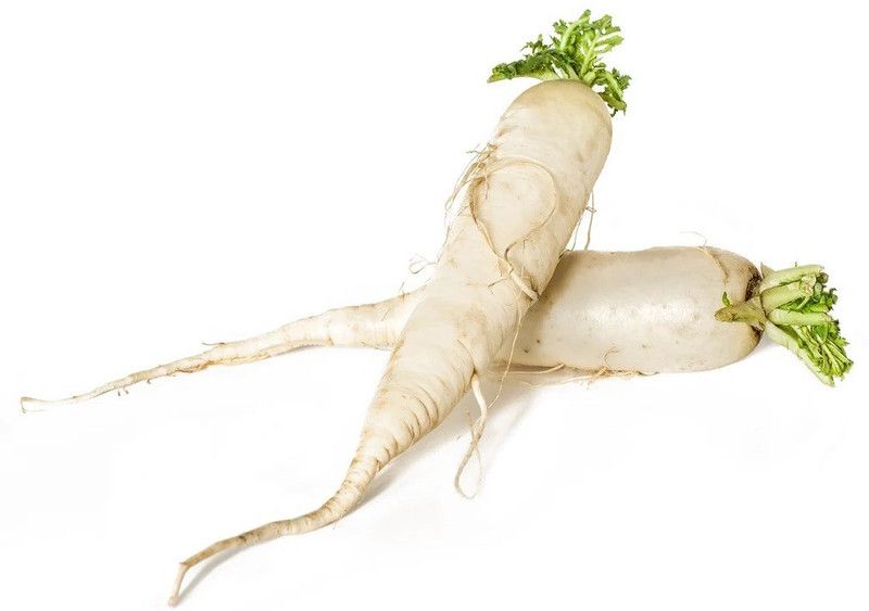 VINTI Daikon Radish Vegetable Seed  (800 per packet)
