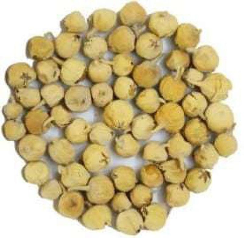 kotaliya Paneer DODI, Indian Rennet, Paneer Ka Phool Seed  (750 per packet)