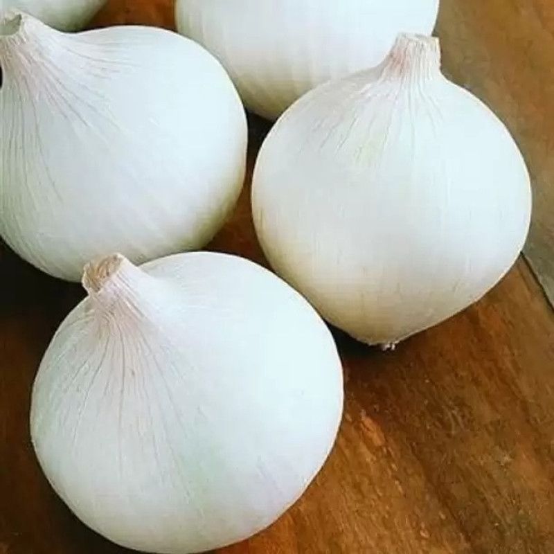 Aro Onion white, Onion Seed  (200 per packet)