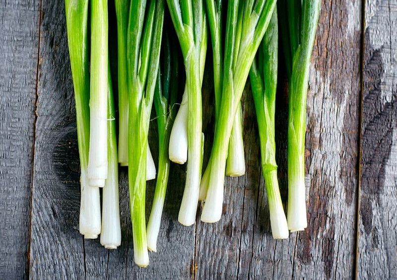 XOLDA Bunching Onion Seed  (45 per packet)