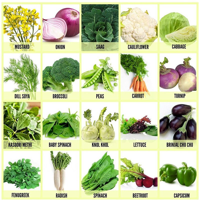 VibeX 20-Varieties-Hybrid 20 Variety of Fruits and Vegetable Seeds Seed  (700 per packet)