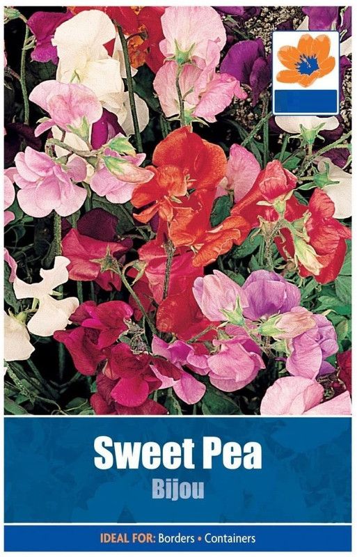 CYBEXIS Sweet Pea Bijou Seeds Seed  (50 per packet)