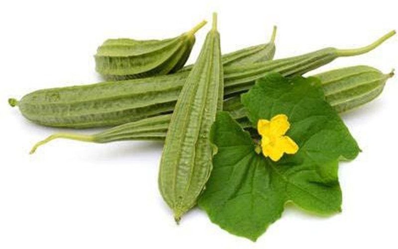 KANAYA Dhari Tori F1 Hybrid Vegetable Seed  (100 per packet)