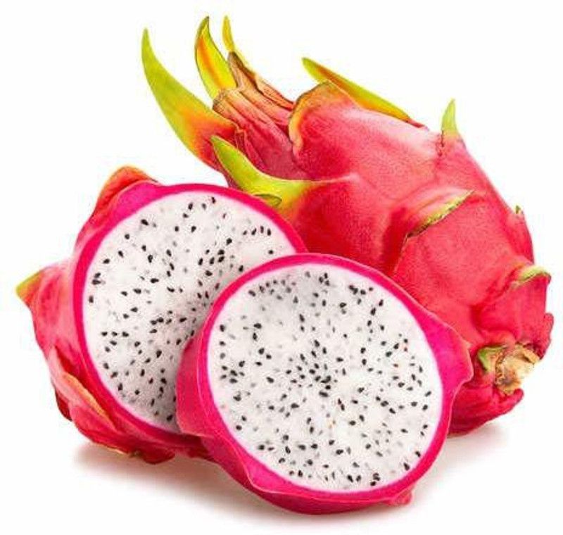 XOLDA Dragon Fruit Hybrid Seed  (57 per packet)