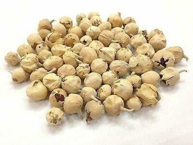 KOO Retails Paneer Doda Seed  (400 g)