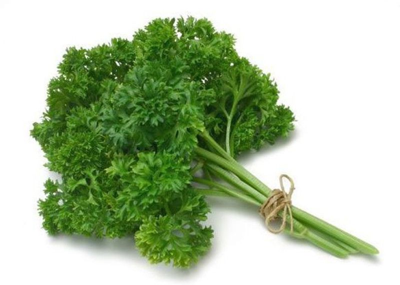 XOLDA Parsley Seed  (85 per packet)