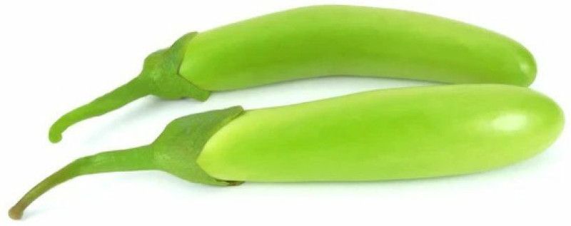 Mozette Organic Brinjal green long Seed  (36 per packet)