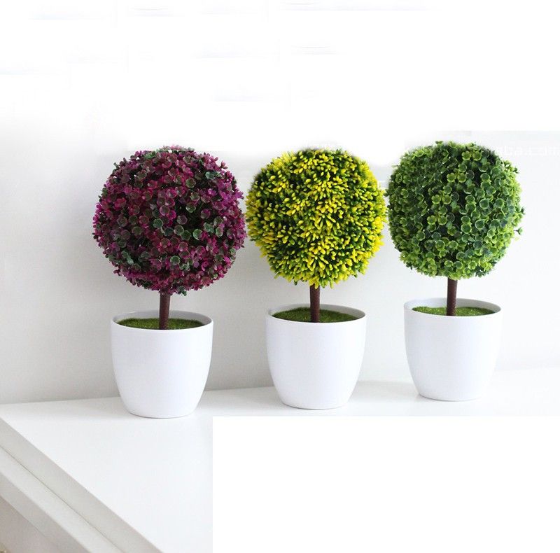 NSKON Imported Bonsai Purple/Green/Yellow Beautiful GRASS (Indoor/Potted) Seed  (30 per packet)