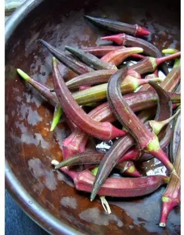 Aro Lady Finger Red, Okra, Bhindi Seed  (122 per packet)