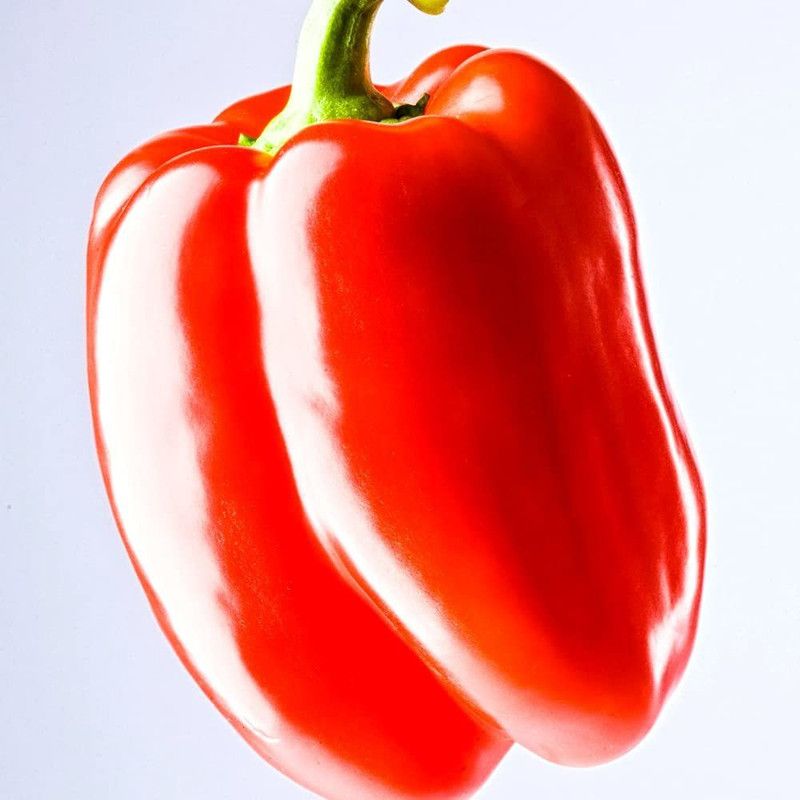 JRYU Capsicum(Shimla Mirch) Seed  (90 per packet)