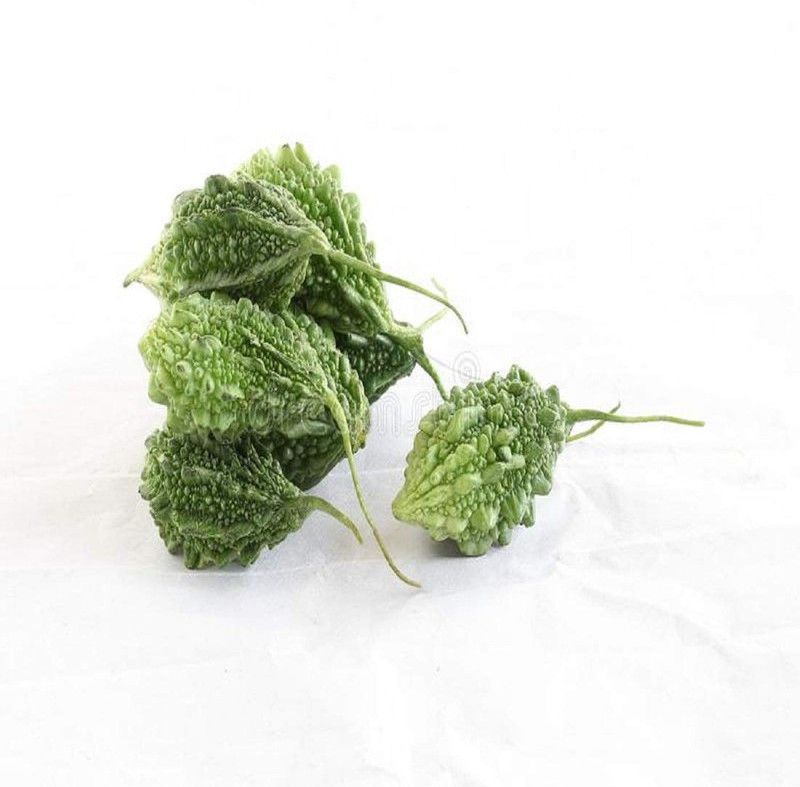 Earth Angels Bitter Gourd - Karela Seeds Seed  (100 per packet)