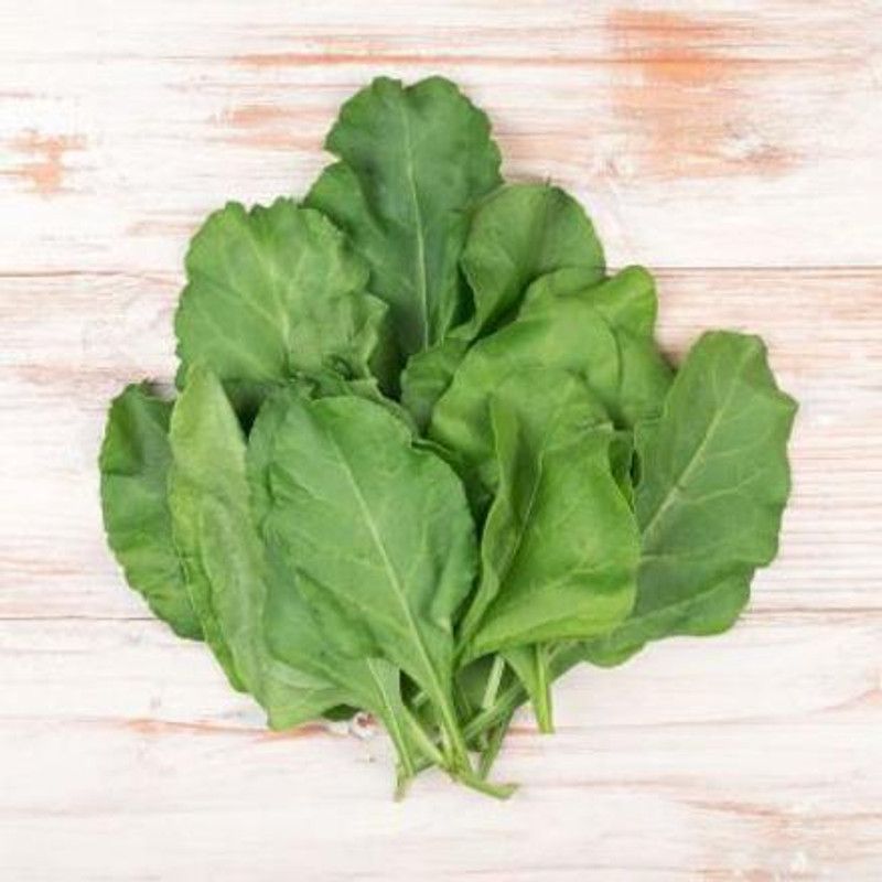 Paudha Palak Seed  (51 per packet)