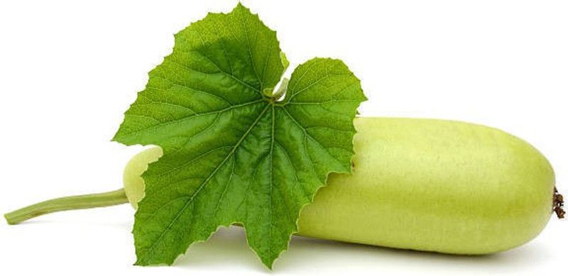 Corofitam Bottle gourd Seed  (50 per packet)