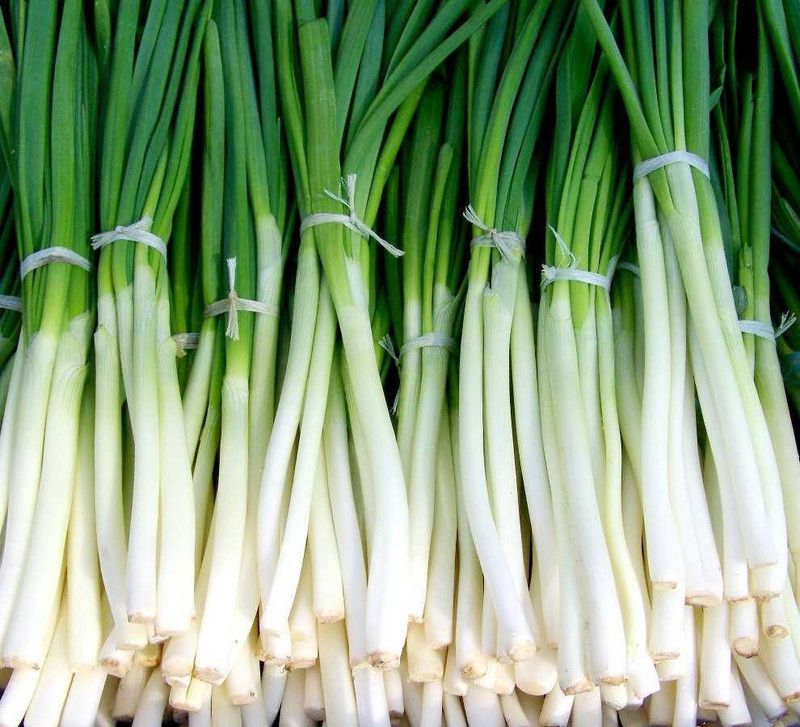 Mozette Bunching onion Seed  (18 per packet)